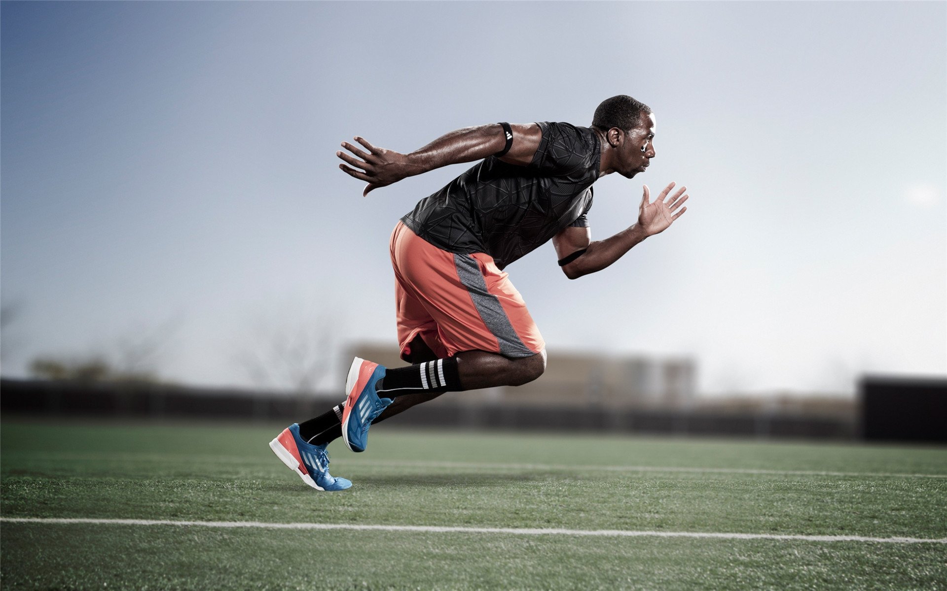 体育赛事观众年龄结构统计