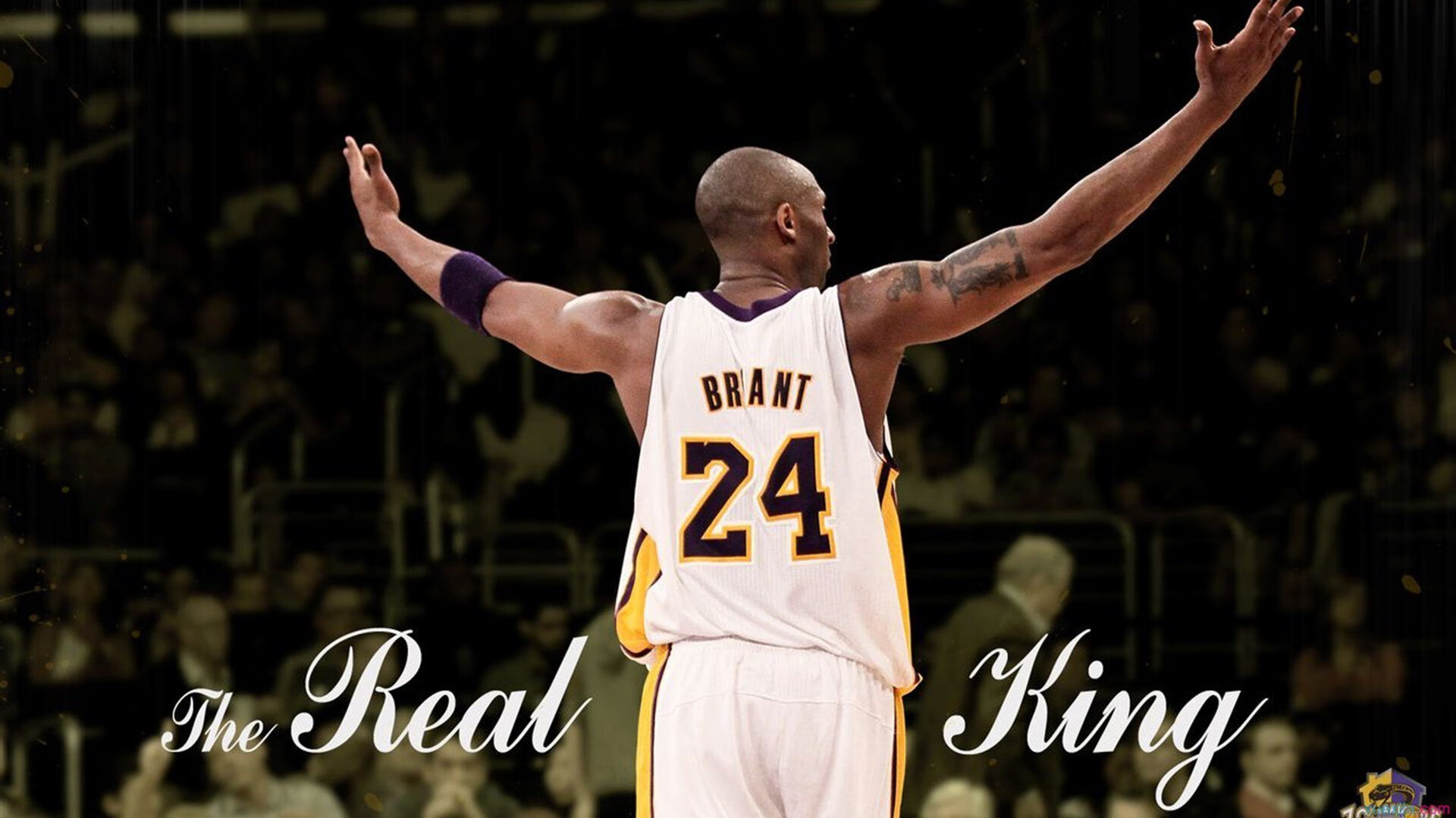 篮球联盟球队战术分析